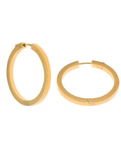 Pendientes Salvatore Plata 268A0124